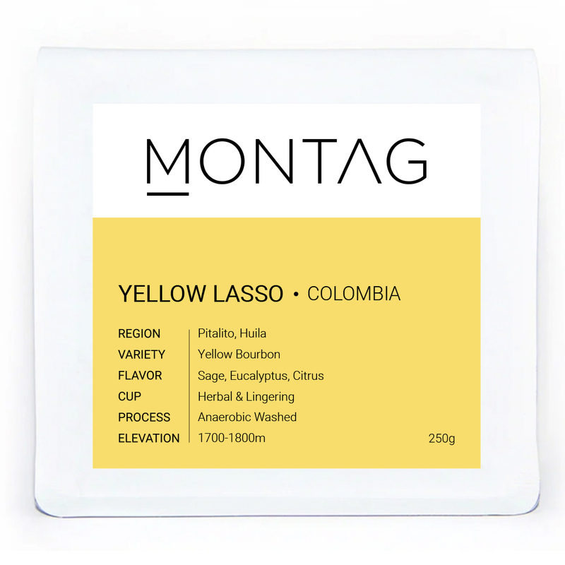 YELLOW LASSO
